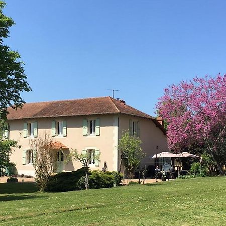 Domaine Serrot Saint-Elix-Theux 외부 사진